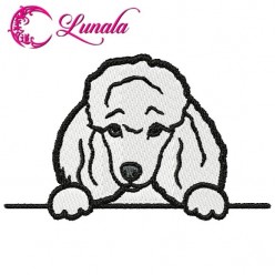 Matriz de bordado - Cachorro - Poodle2